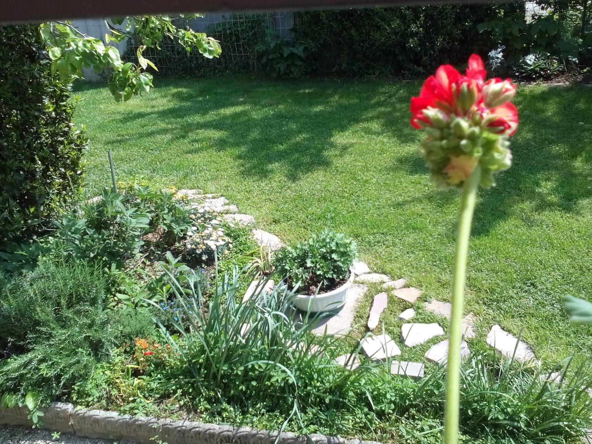 Casa Emanuela Bed and Breakfast Piazzola sul Brenta Εξωτερικό φωτογραφία
